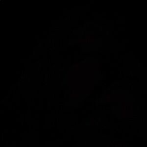 Meet your Posher, Lama